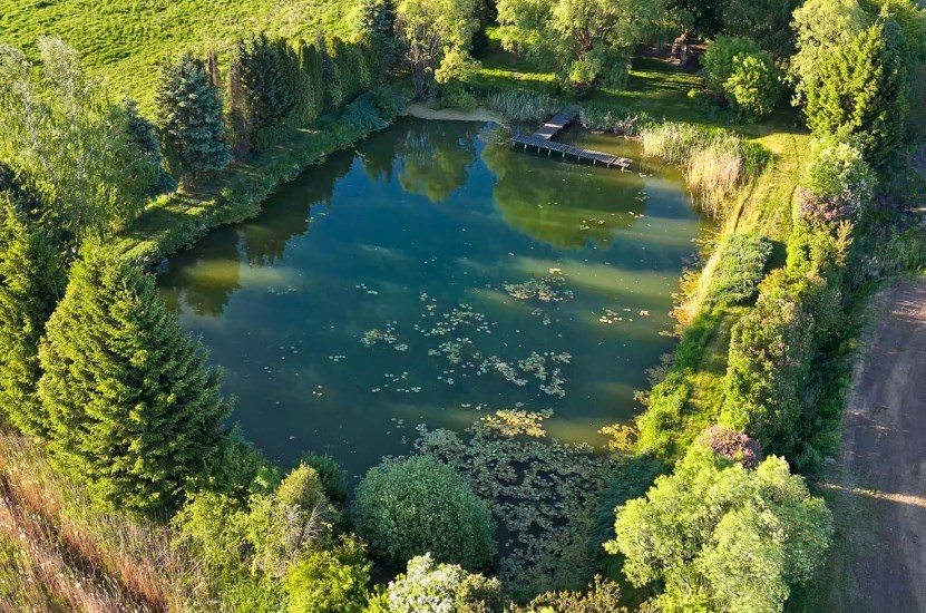 Dom Sprzedaż - Kielce province, kielecki, Morawica, Brzeziny