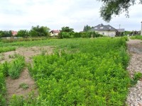 Działka Sprzedaż - mazowieckie, pruszkowski, Michałowice (gw), Michałowice-Wieś
