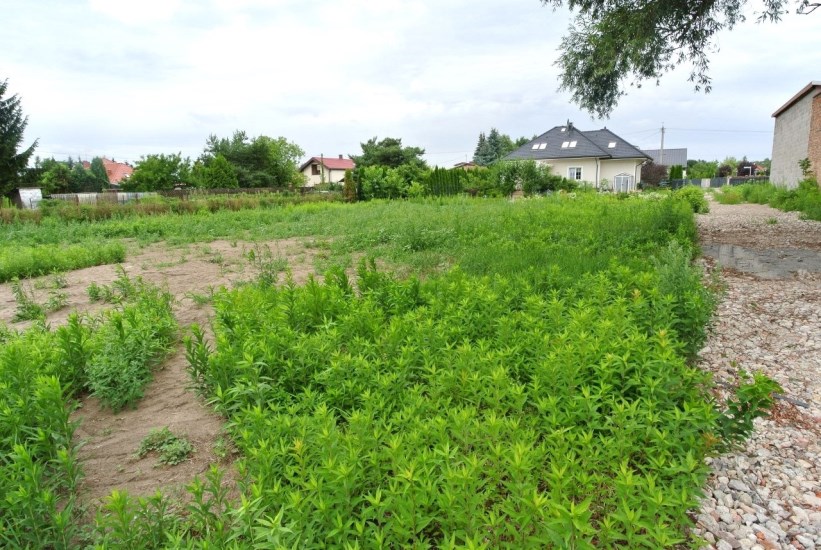 Działka Sprzedaż - mazowieckie, pruszkowski, Michałowice (gw), Michałowice-Wieś