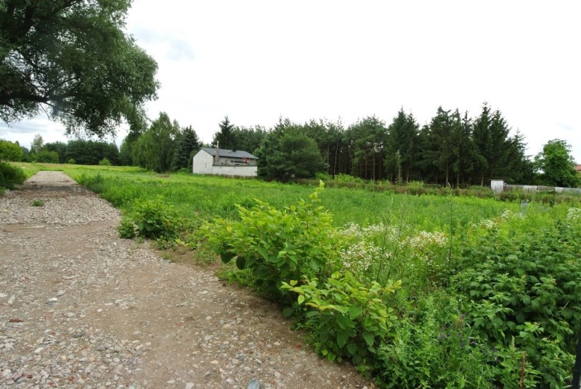 Działka Sprzedaż - mazowieckie, pruszkowski, Michałowice (gw), Michałowice-Wieś
