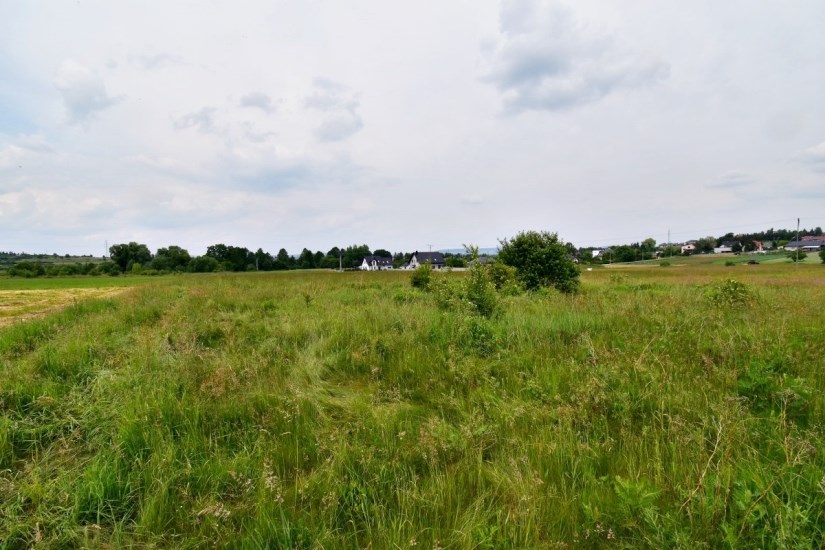 Działka Sprzedaż - Kielce province, kielecki, Daleszyce, Mójcza