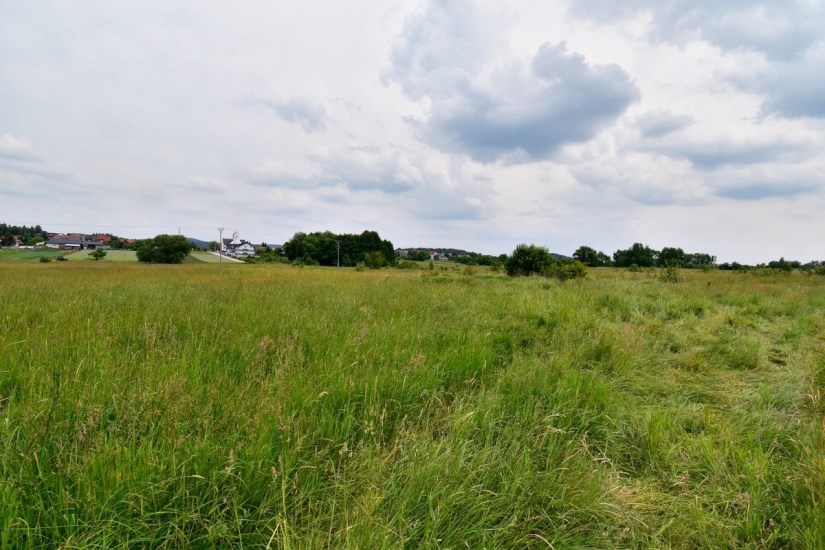 Działka Sprzedaż - Kielce province, kielecki, Daleszyce, Mójcza