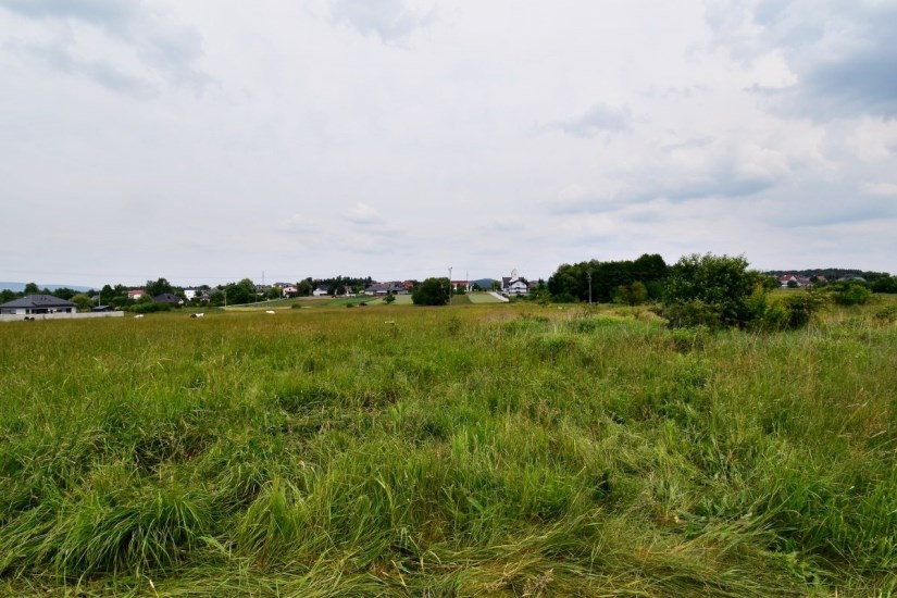 Działka Sprzedaż - Kielce province, kielecki, Daleszyce, Mójcza