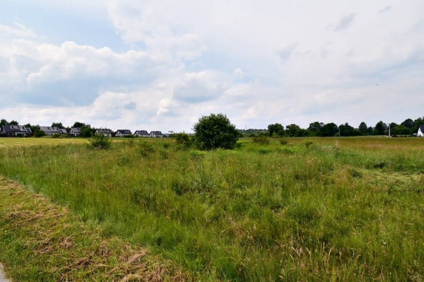 Działka Sprzedaż - Kielce province, kielecki, Daleszyce, Mójcza