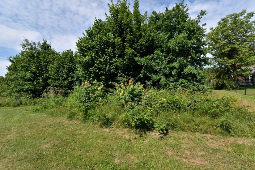 Działka Sprzedaż - Kielce province, kielecki, Zagnańsk, Samsonów, Komorniki