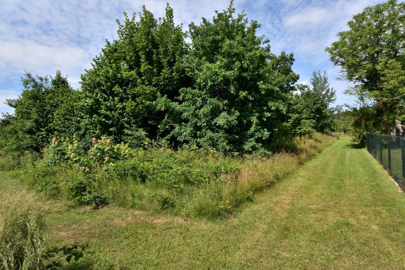 Działka Sprzedaż - Kielce province, kielecki, Zagnańsk, Samsonów, Komorniki
