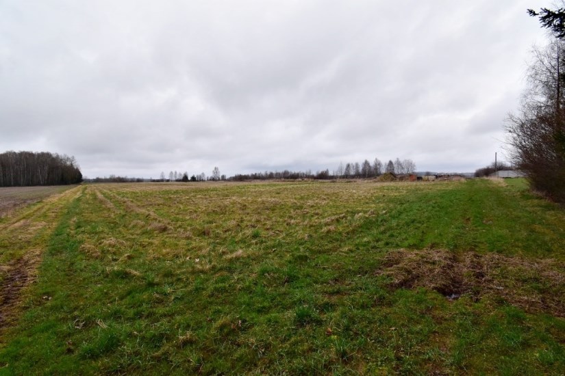 Działka Sprzedaż - Kielce province, kielecki, Mniów, Grzymałków