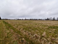 Działka Sprzedaż - Kielce province, kielecki, Mniów, Grzymałków