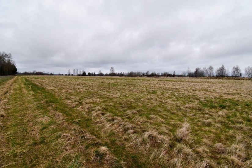 Działka Sprzedaż - Kielce province, kielecki, Mniów, Grzymałków