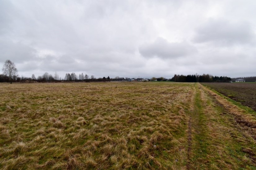 Działka Sprzedaż - Kielce province, kielecki, Mniów, Grzymałków