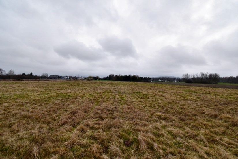 Działka Sprzedaż - Kielce province, kielecki, Mniów, Grzymałków