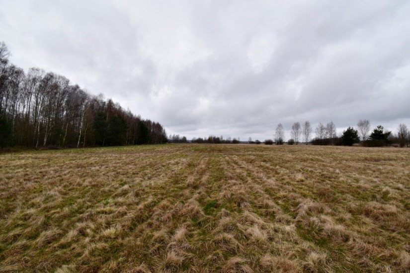 Działka Sprzedaż - Kielce province, kielecki, Mniów, Grzymałków