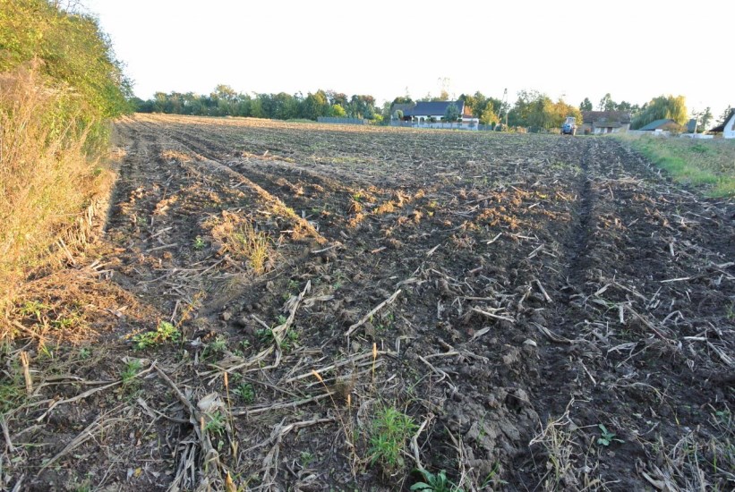 Działka Sprzedaż - Kielce province, pińczowski, Działoszyce, Dziekanowice