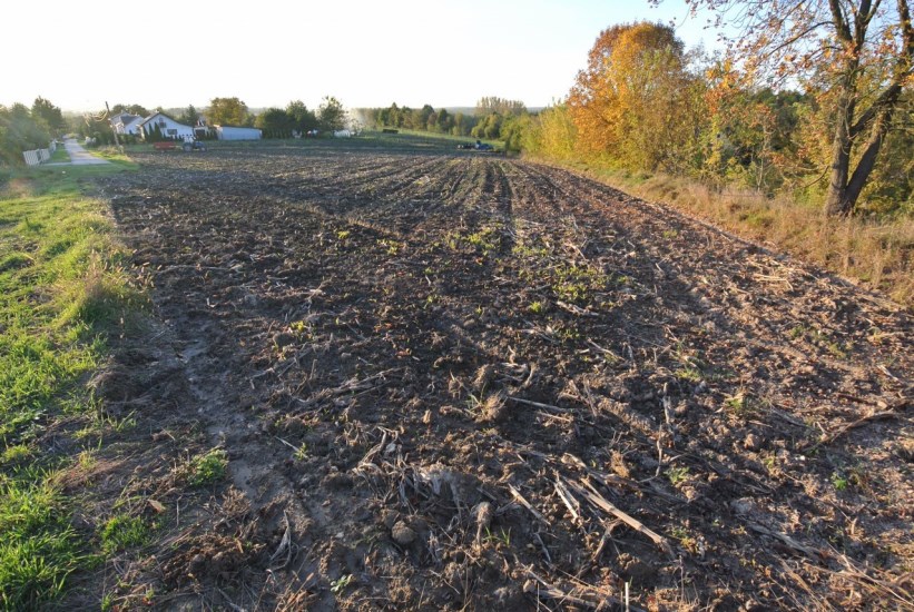 Działka Sprzedaż - Kielce province, pińczowski, Działoszyce, Dziekanowice