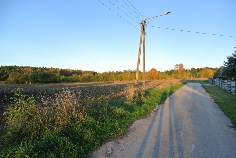 Działka Sprzedaż - Kielce province, pińczowski, Działoszyce, Dziekanowice