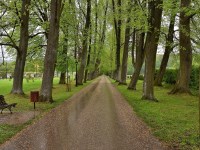 Dom Sprzedaż - Kielce province, kielecki, Strawczyn, Oblęgorek