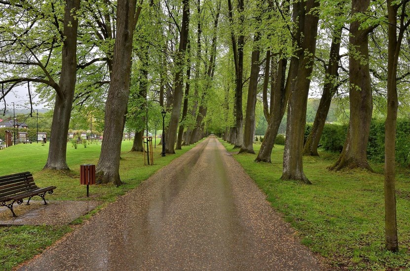 Dom Sprzedaż - Kielce province, kielecki, Strawczyn, Oblęgorek