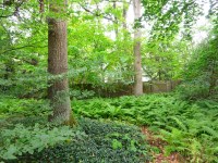 Działka Sprzedaż - mazowieckie, piaseczyński, Lesznowola, Magdalenka