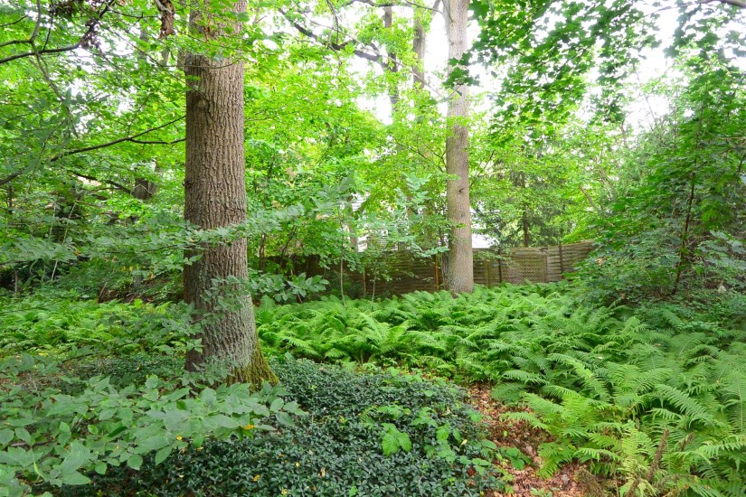 Działka Sprzedaż - mazowieckie, piaseczyński, Lesznowola, Magdalenka