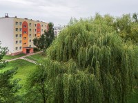 Mieszkanie Sprzedaż - Kielce province, Kielce m., Kielce, Na Stoku