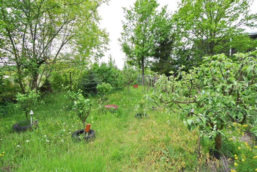 Mieszkanie Sprzedaż - Kielce province, pińczowski, Pińczów